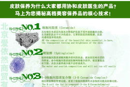 蘆薈膠與個(gè)人信用 修復(fù)外在肌膚與內(nèi)在信譽(yù)的指南